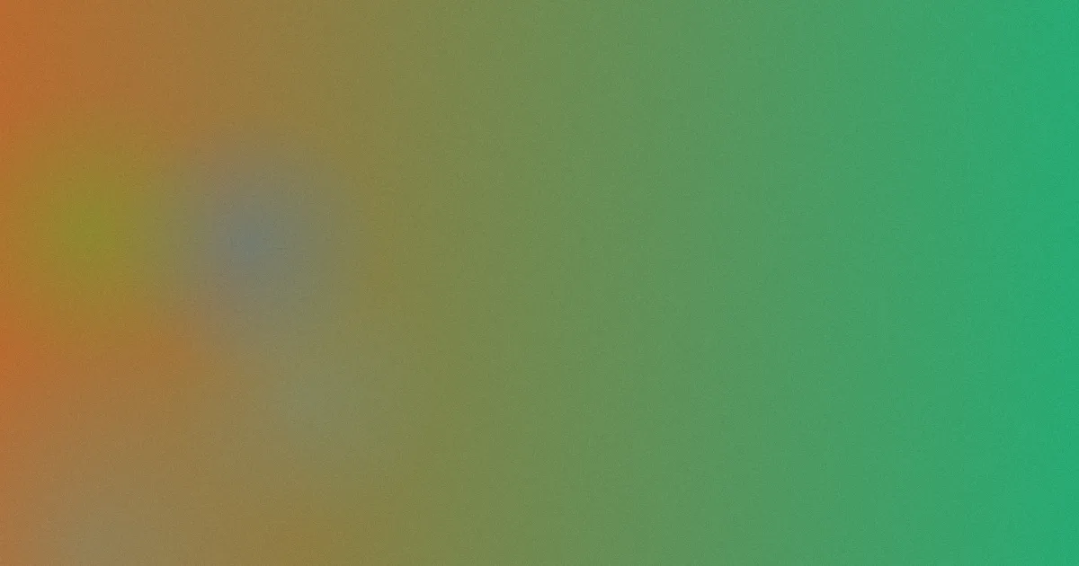 洪欣测评：避坑指南